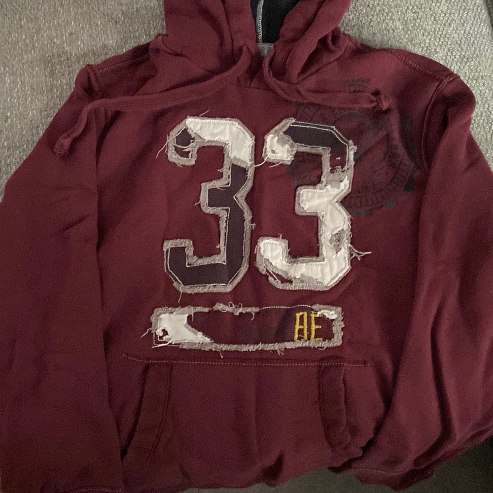 American Eagle Hooded Sweatshirt (M)